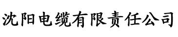 av天天看电缆厂logo